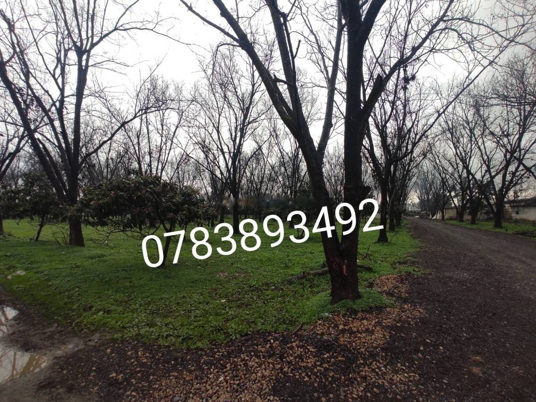 Vente Terrain Ouled Chebel
