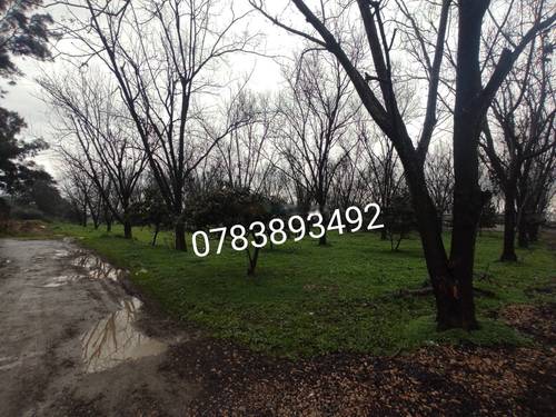 Vente Terrain Ouled Chebel