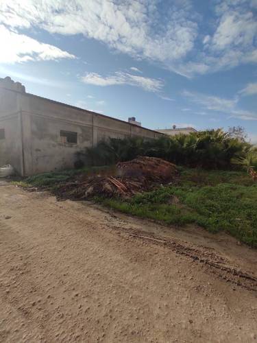 Vente Terrain Ouled Chebel