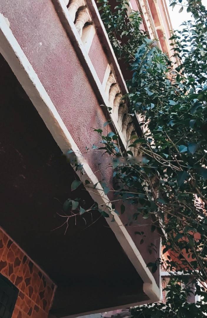 Location Niveau de villa F3 Les Eucalyptus