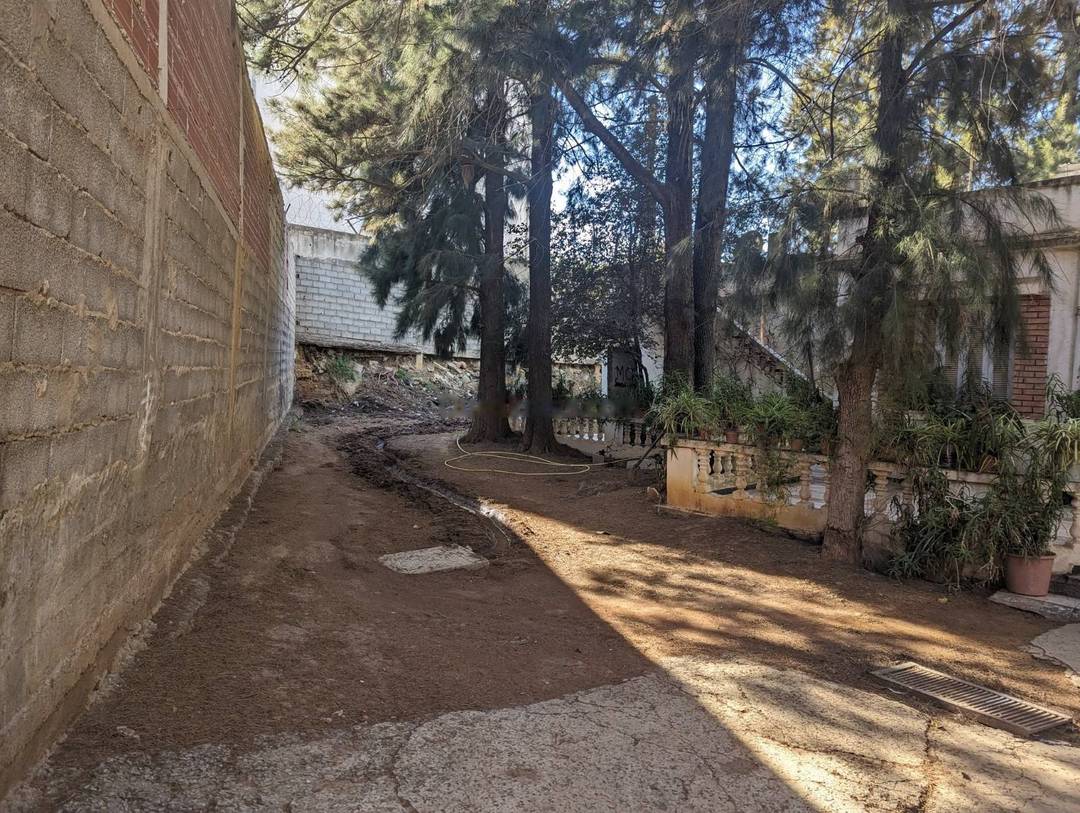 Vente Terrain Dely Ibrahim
