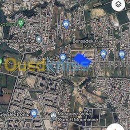 Vente Terrain Reghaia
