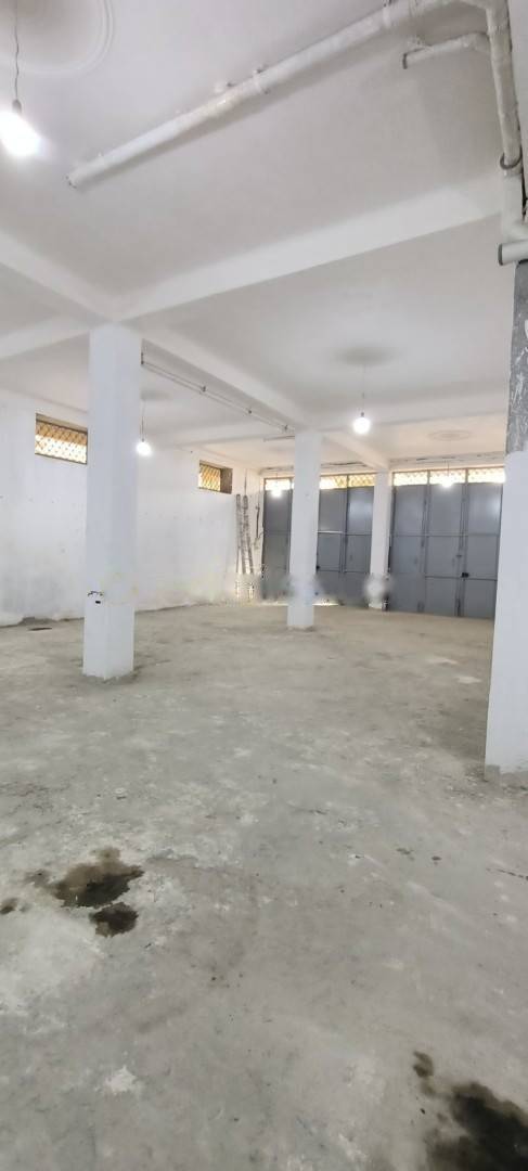 Location hangar les eucalyptus