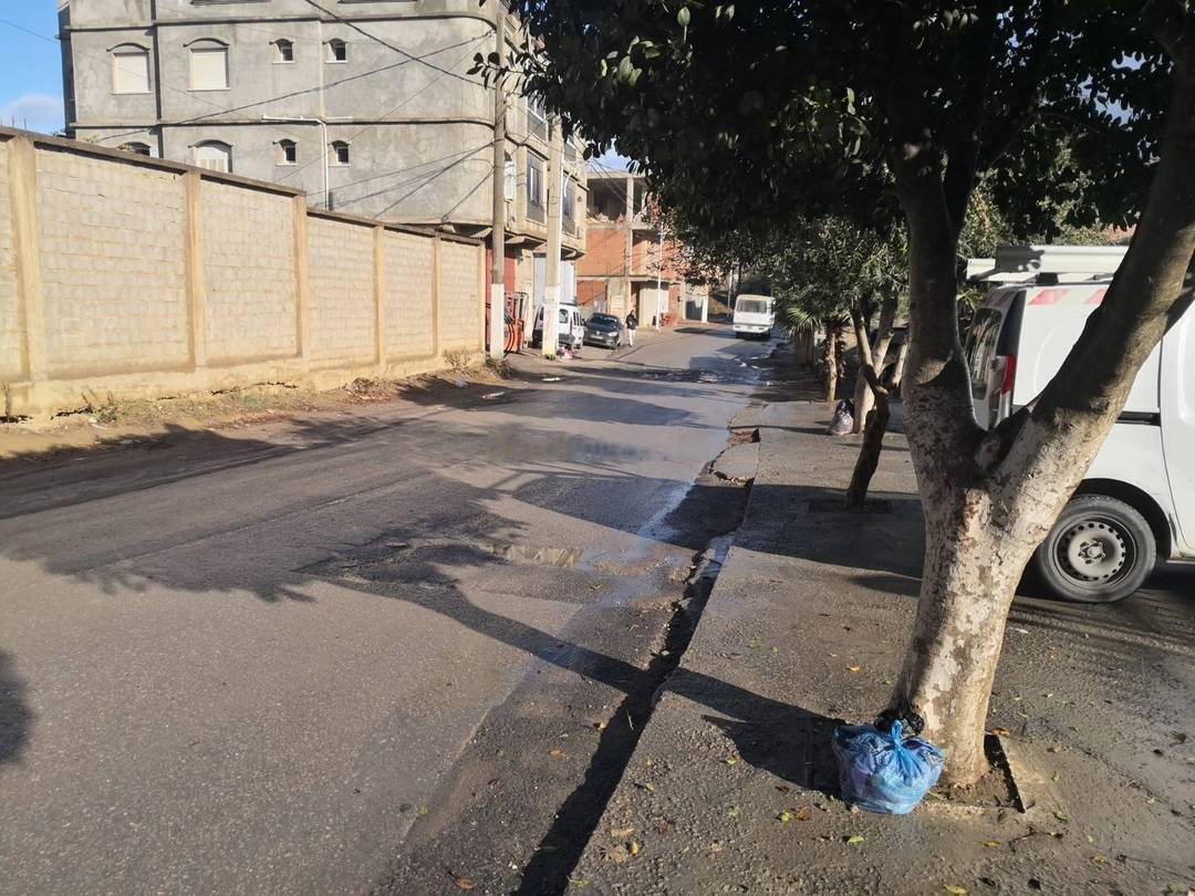 Location Local F0 Douera