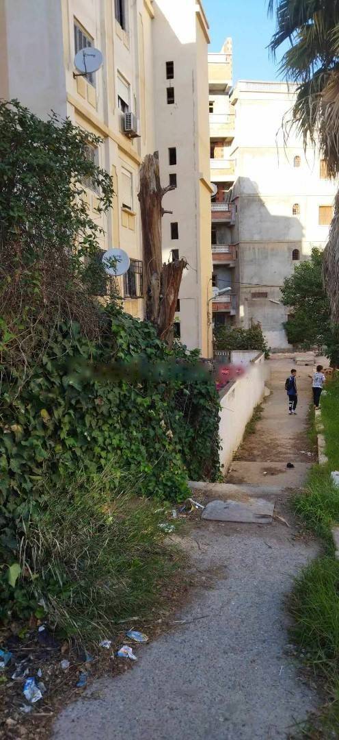 Vente Appartement F3 Djasr Kasentina