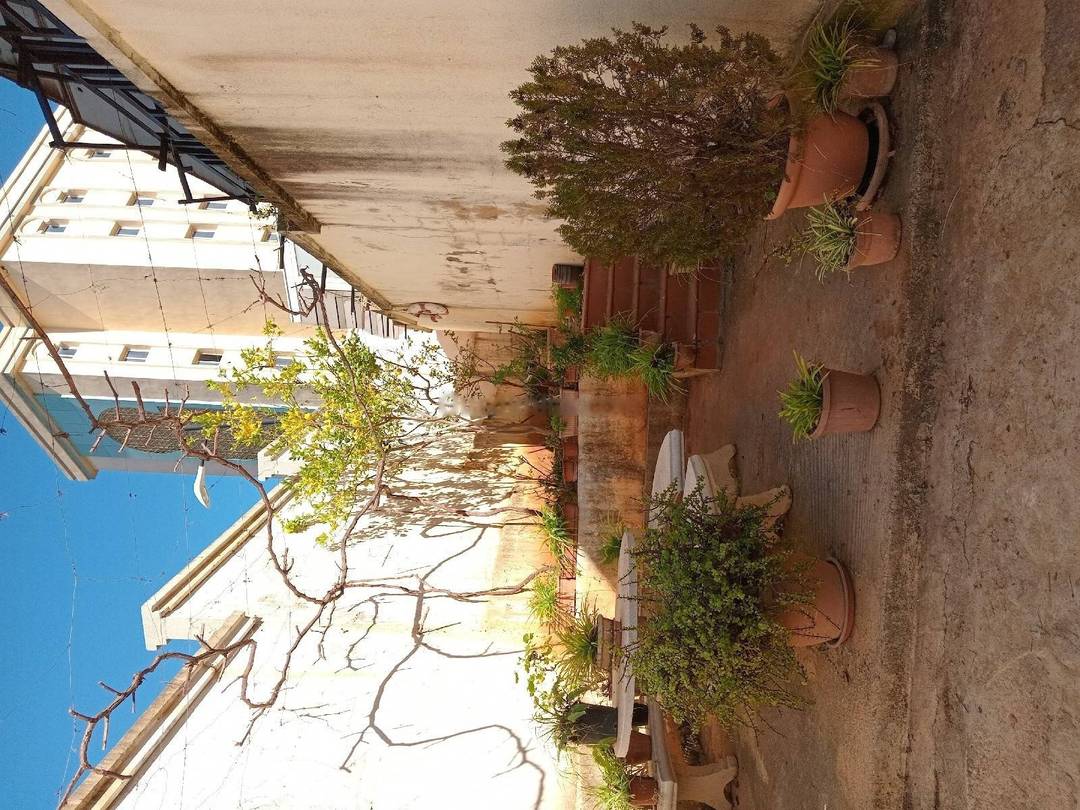  Vente villa f8 ben aknoun