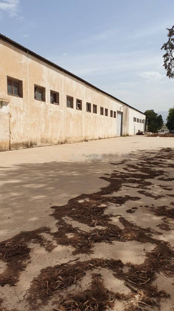 Location Hangar Sidi Moussa