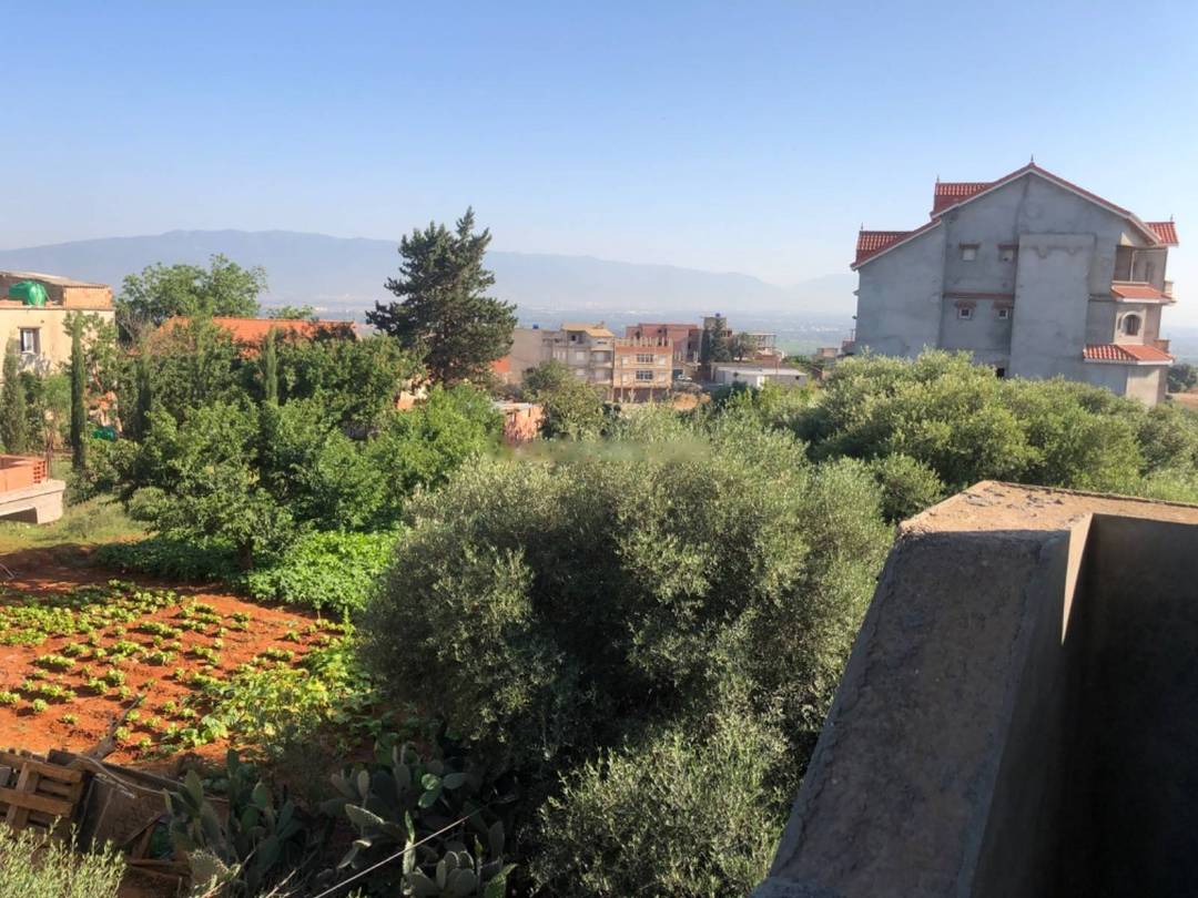 Vente Villa F10 Douera