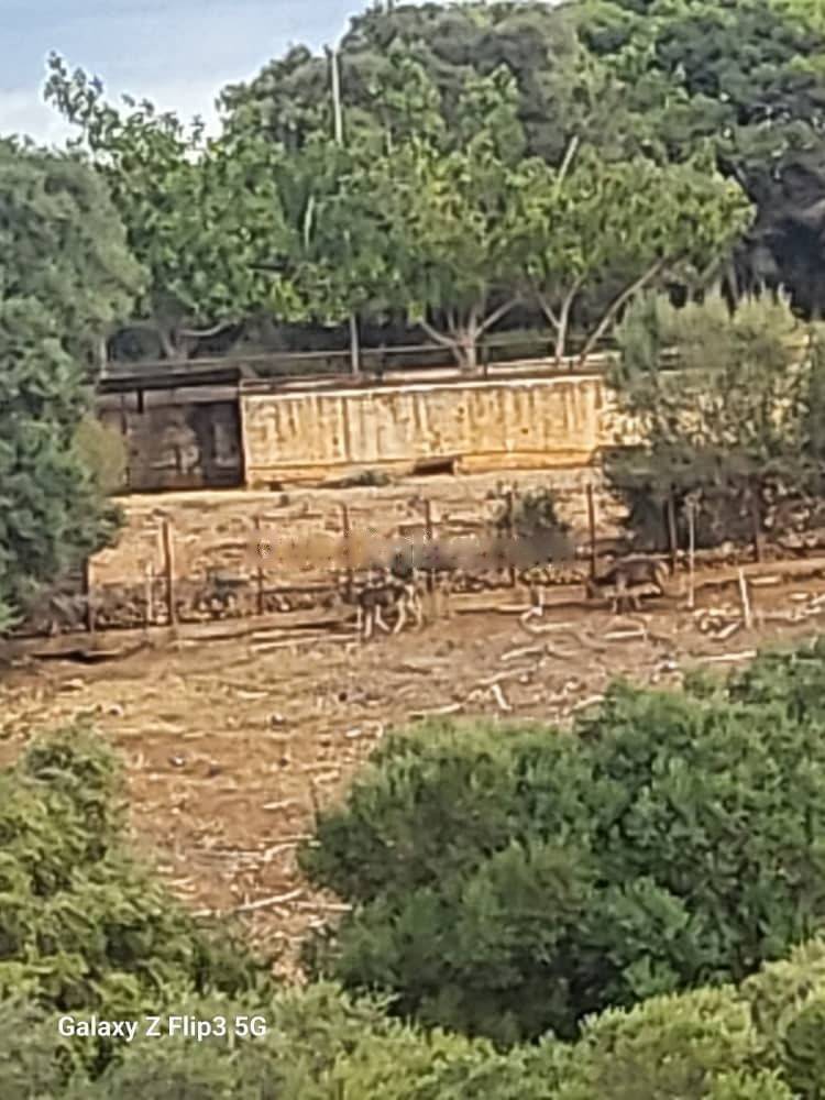 Vente Terrain El Achour