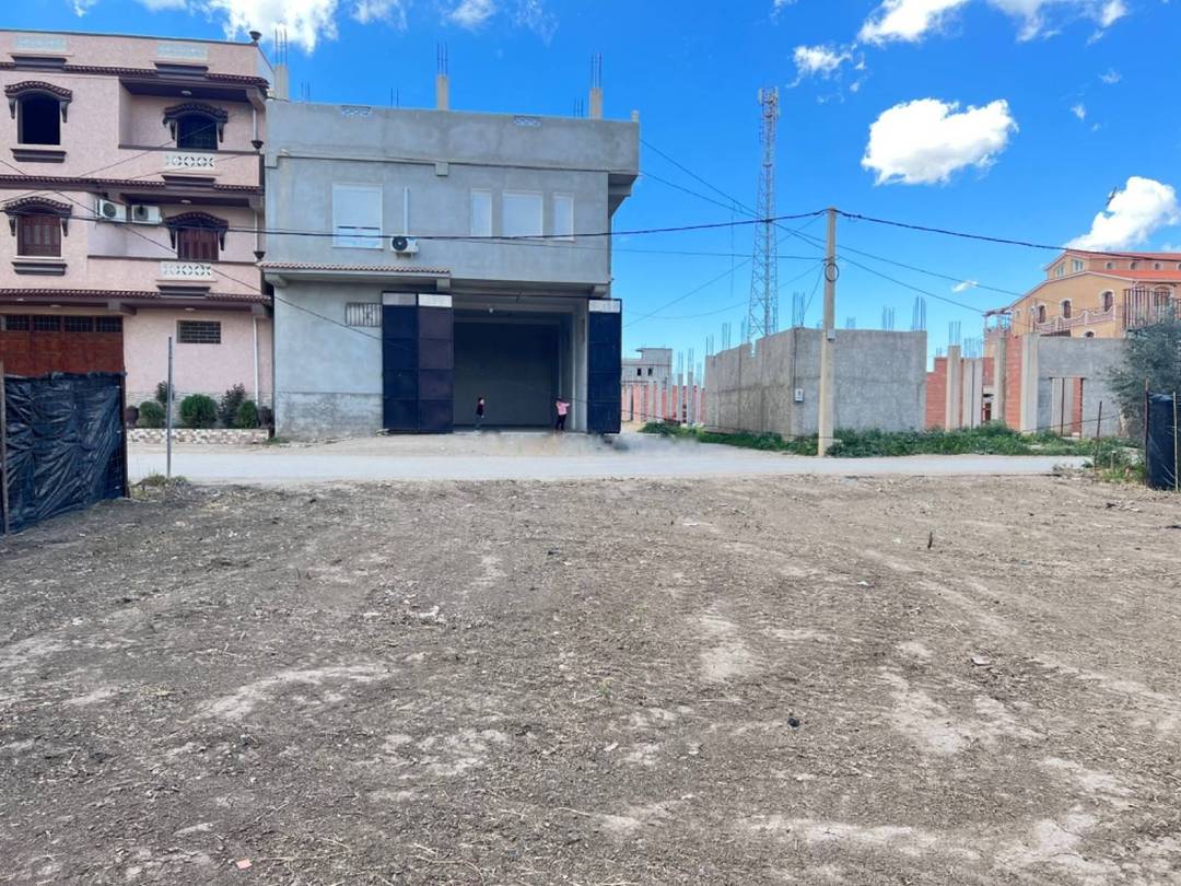 Vente Terrain Ouled Chebel