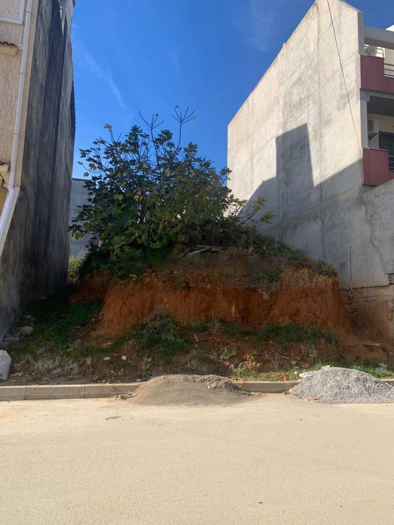 Vente Terrain El Achour