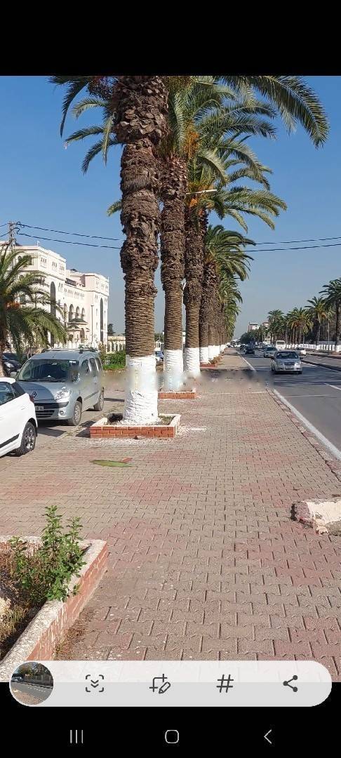 Location Immeuble Dar El Beida