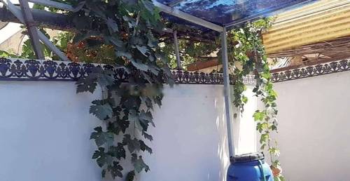 Location Appartement F3 Kouba