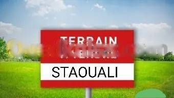 Vente Terrain Staoueli