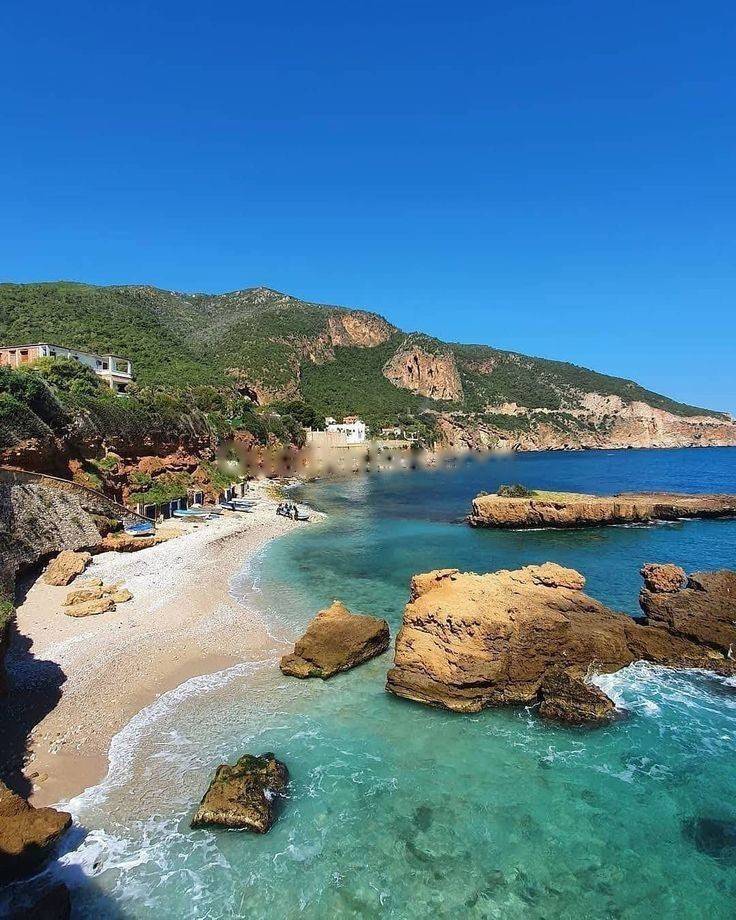 Location saisonnière niveau de villa f1 tipaza