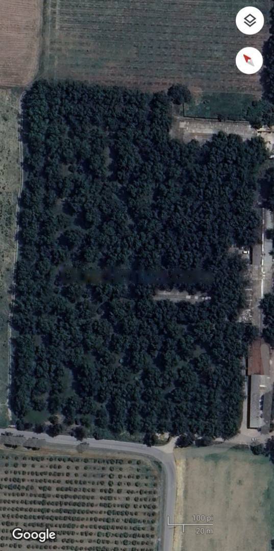 Vente Terrain Ouled Chebel