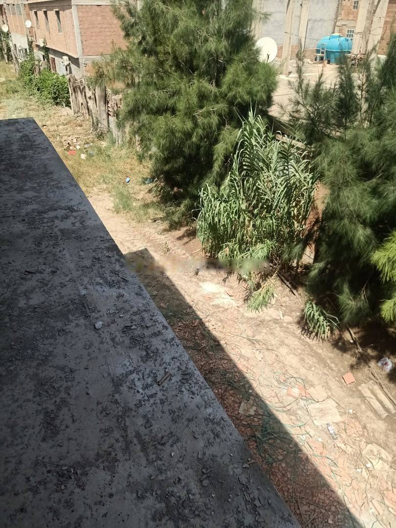 Vente Carcasse Les Eucalyptus