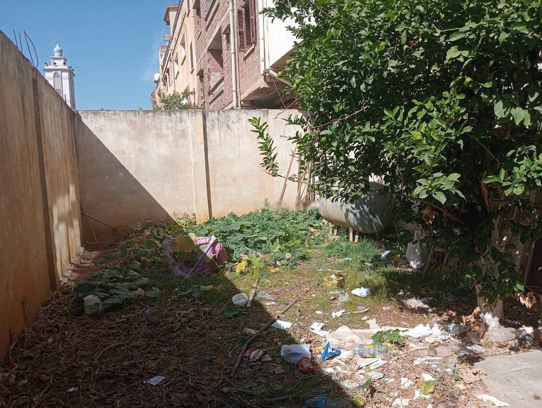 Location Local Birkhadem