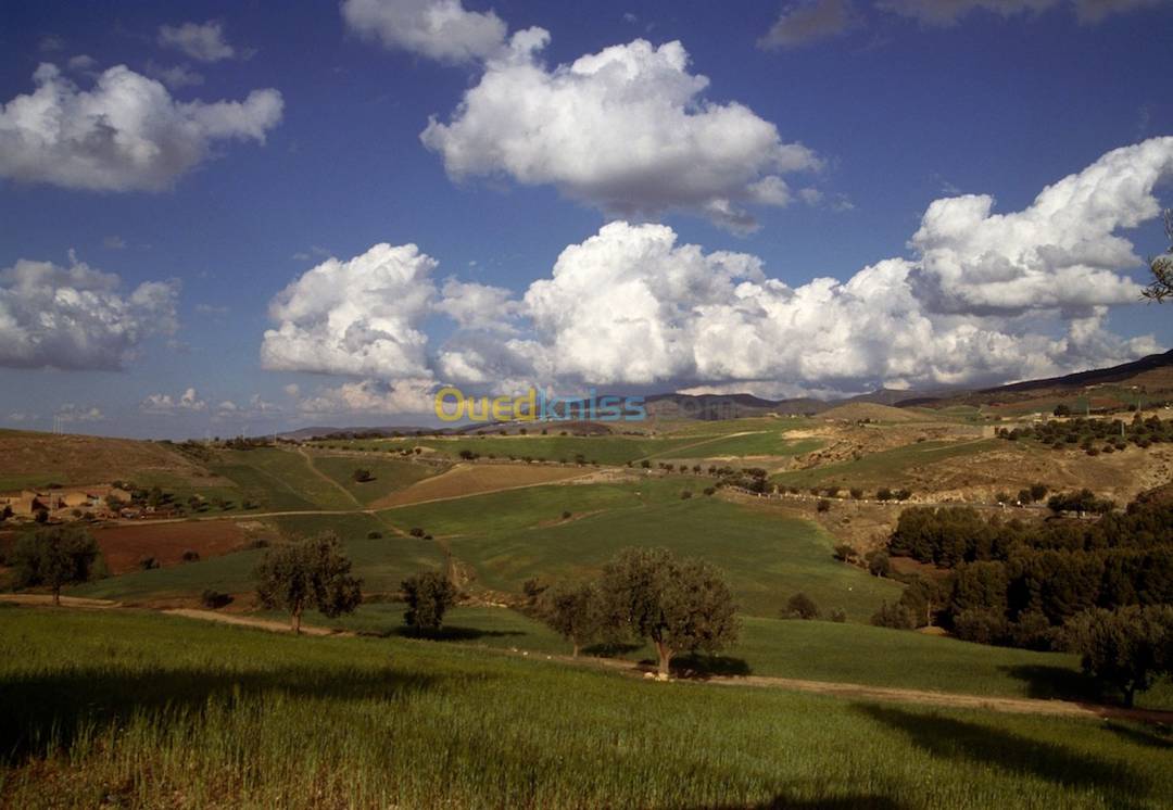 Vente Terrain Zeralda