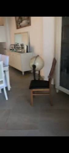 Location Villa Ain Benian