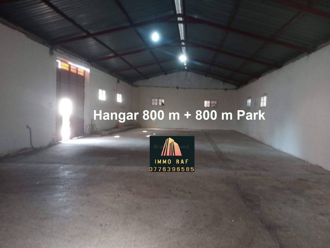 Location Hangar Ouled Chebel