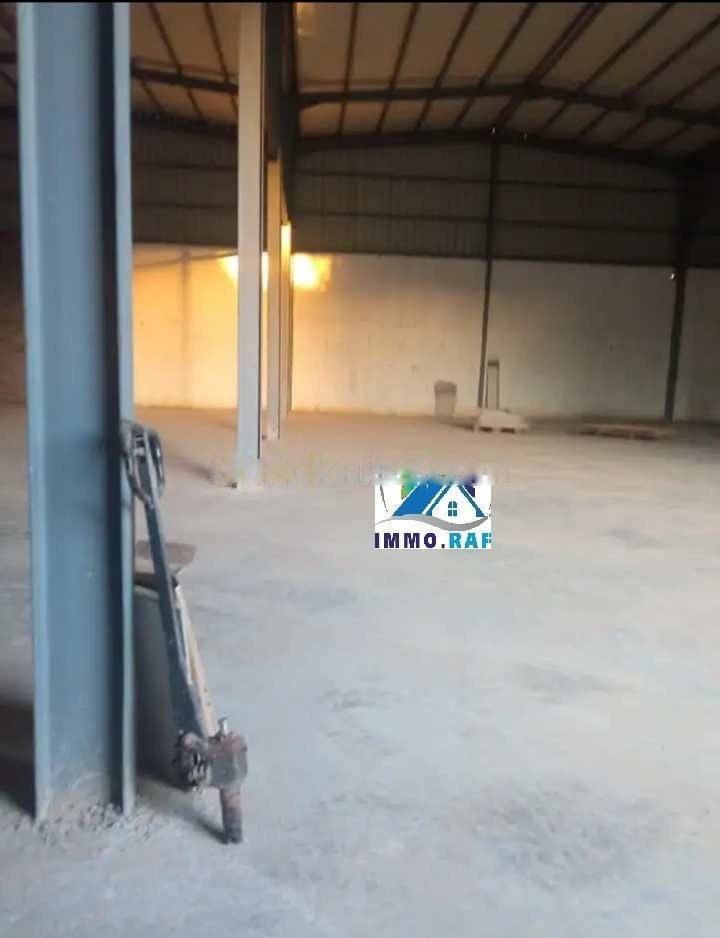 Location Hangar Ouled Chebel