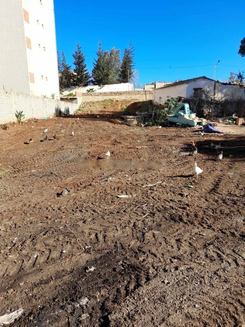 Vente Terrain Zeralda