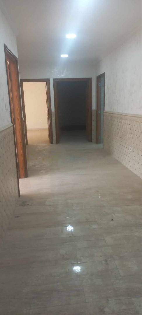 Location Appartement Kouba