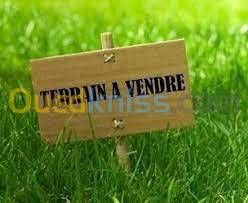 Vente Terrain Ben Aknoun