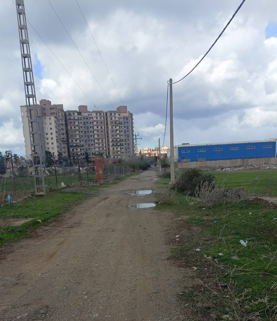 Vente Terrain Reghaia