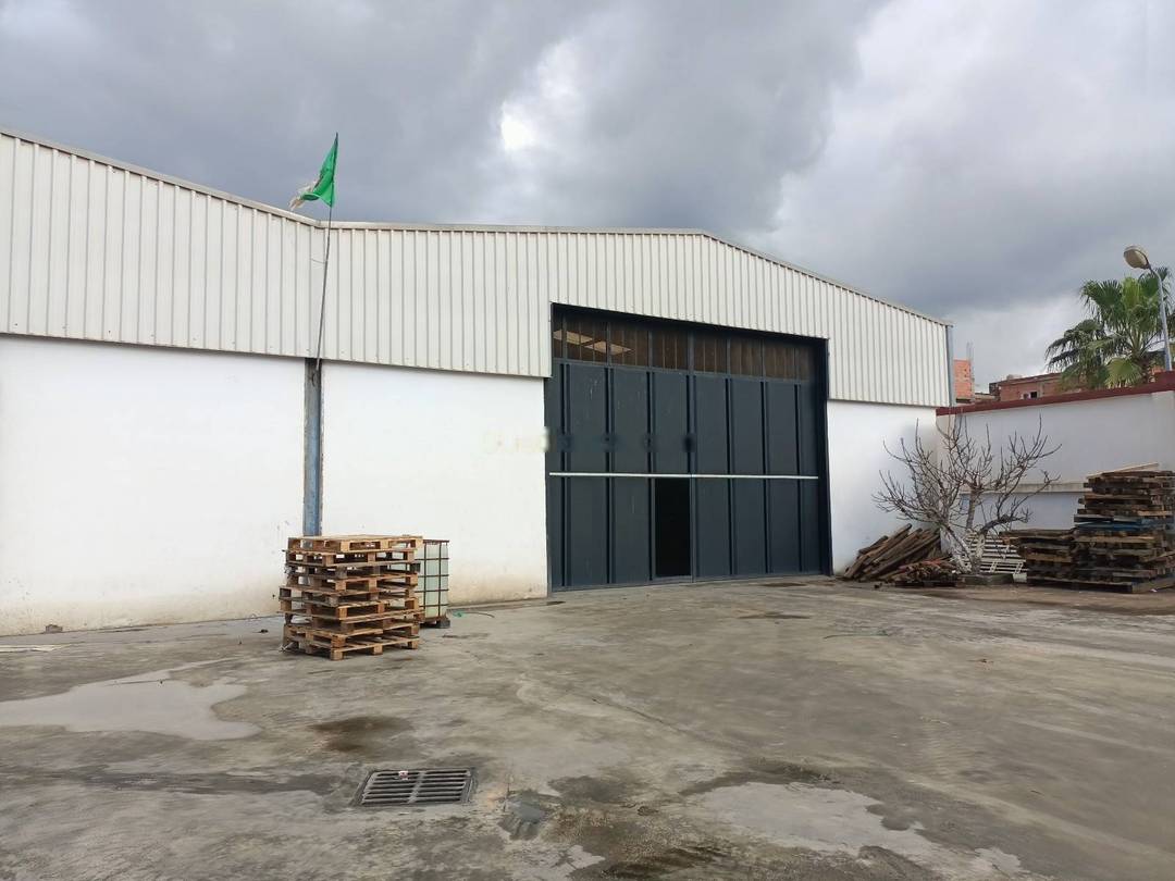 Location Hangar Birtouta