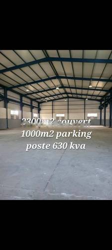 Location Hangar Dar El Beida