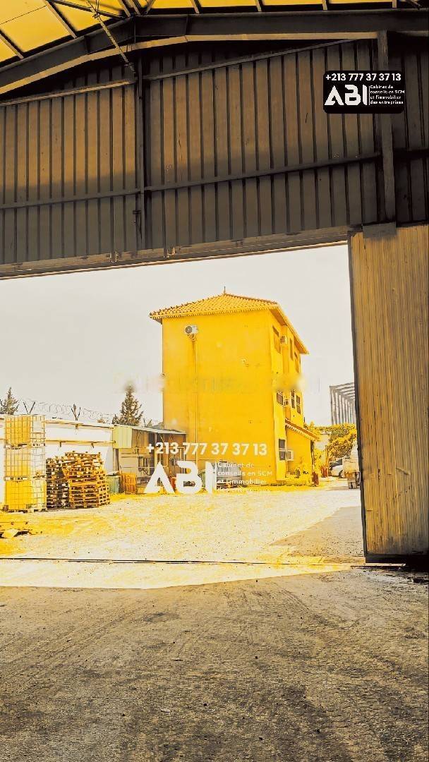 Location Hangar Baraki