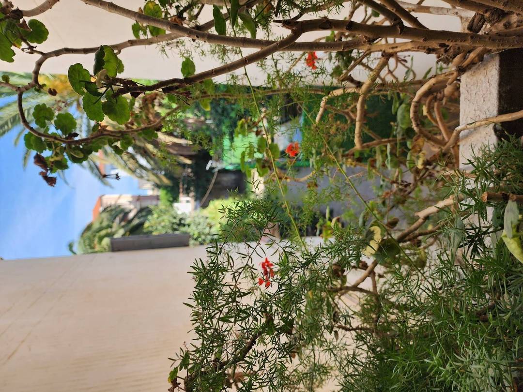 Vente Appartement F4 Dar El Beida