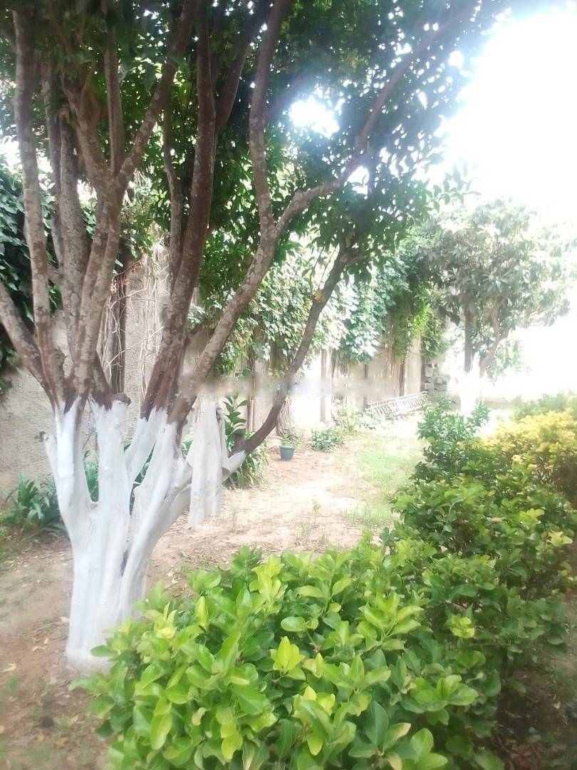 Location Appartement F3 El Biar
