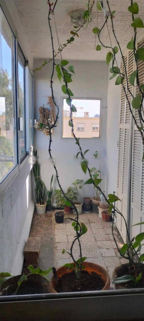 Vente Appartement F3 Djasr Kasentina