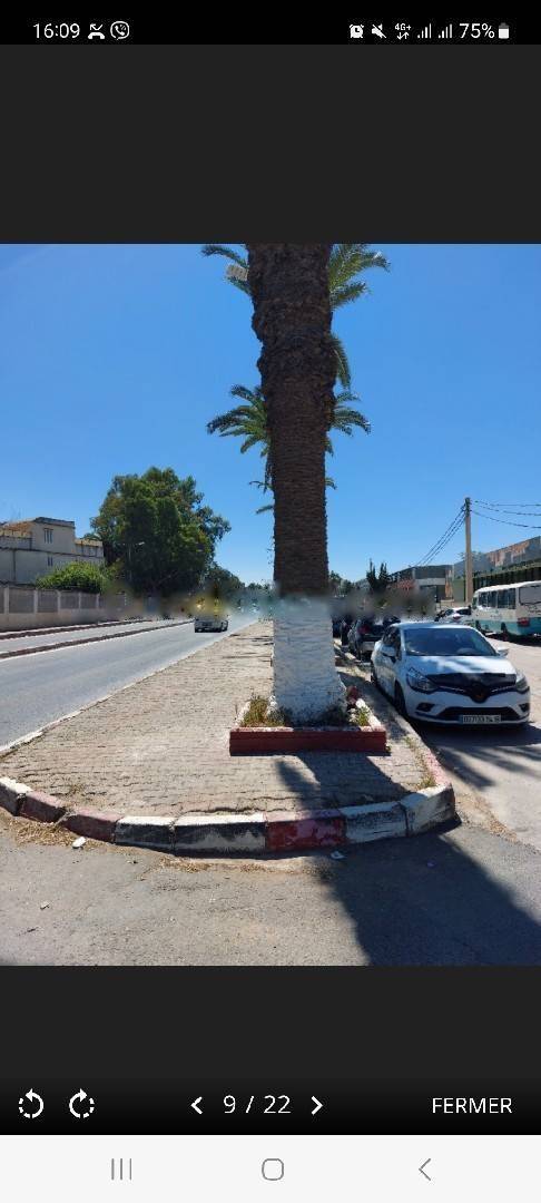 Location Immeuble Dar El Beida