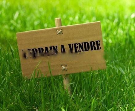 Vente Terrain Staoueli