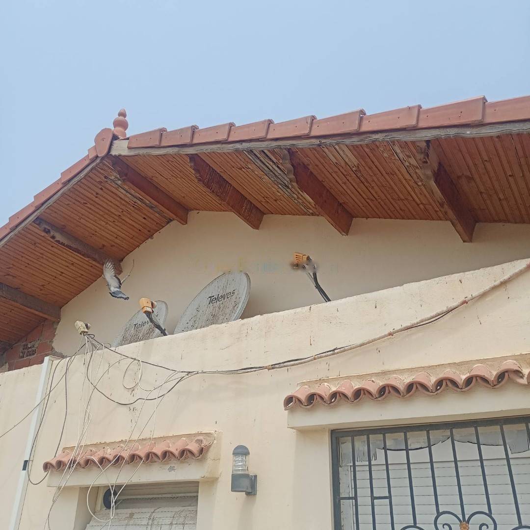 Vente Villa F10 Chiffa