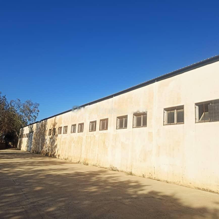 Location Hangar Sidi Moussa