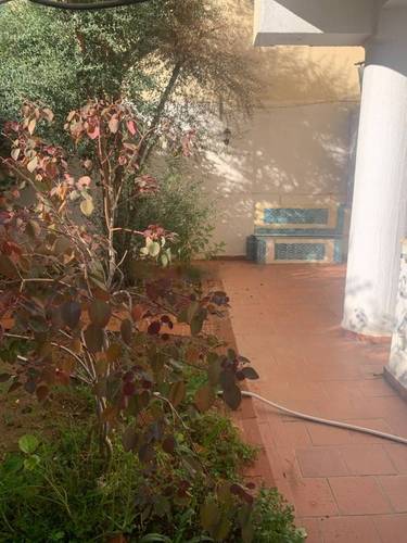 Location Appartement F4 Cheraga