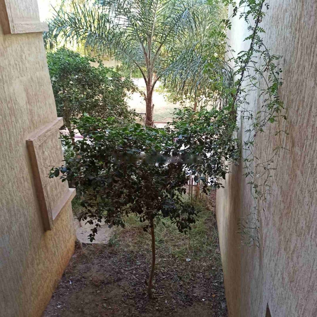 Location Appartement F5 Bordj El Bahri