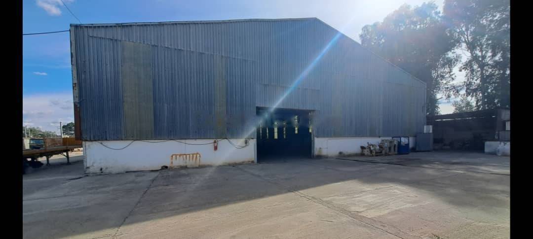 Location Hangar Reghaia