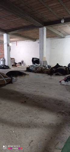 Location Hangar Baba Hassen