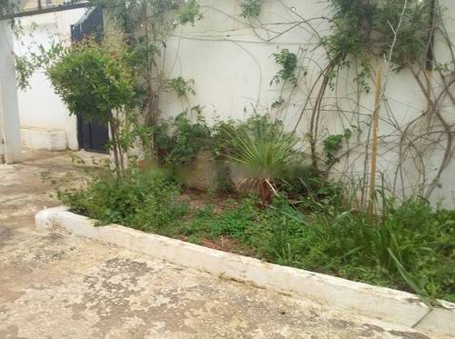 Location Villa F12 Staoueli