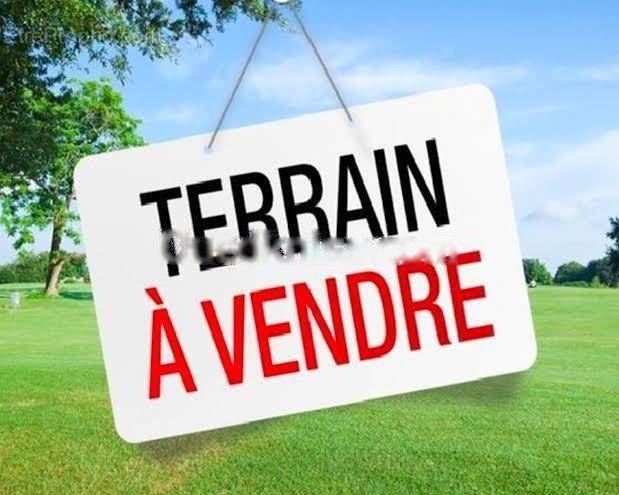 Vente Terrain Zeralda