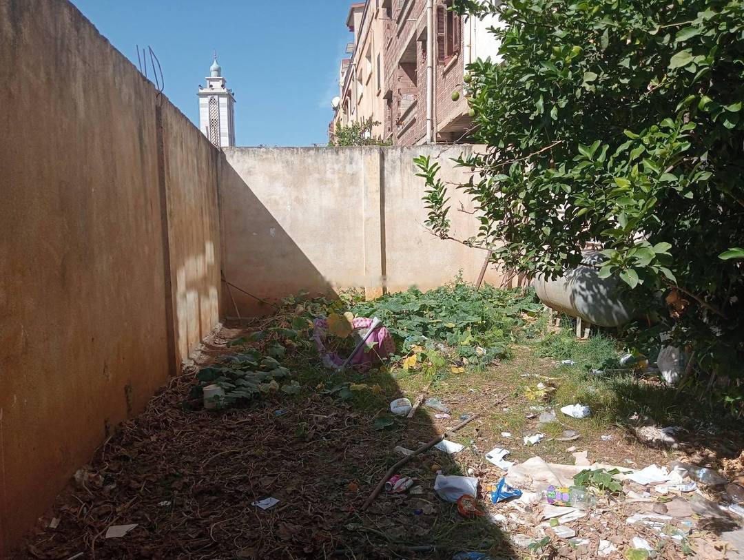 Location Local Birkhadem