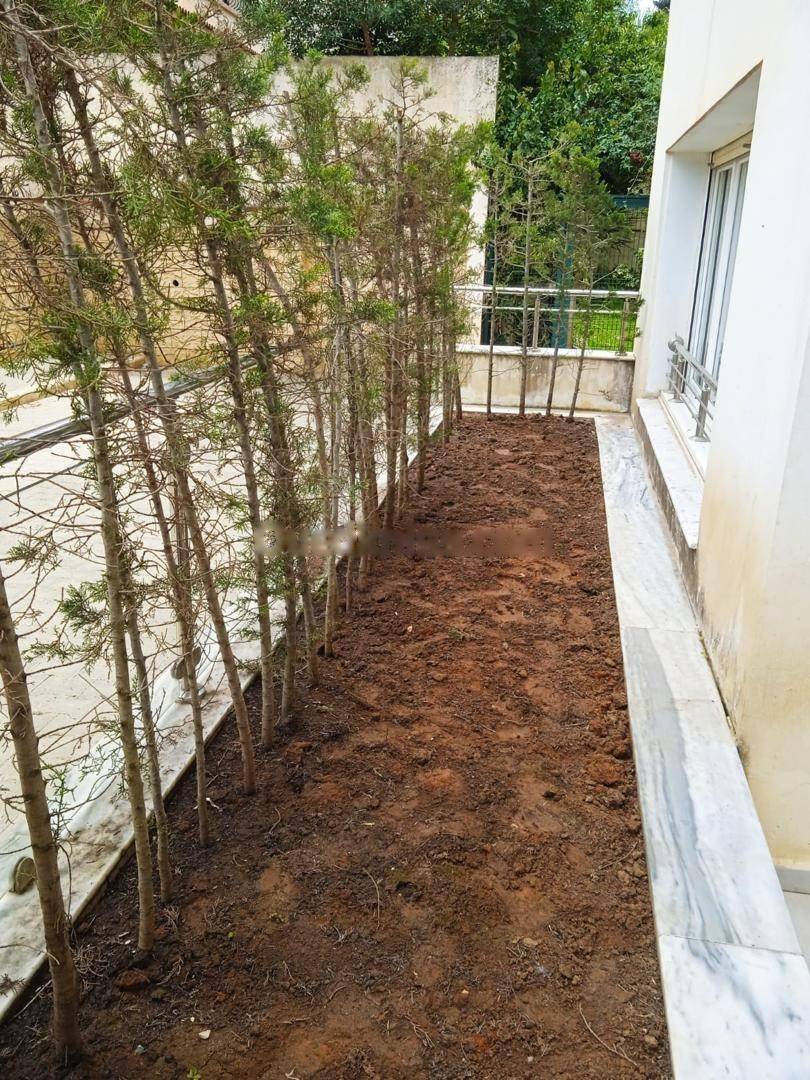 Location Appartement F4 Cheraga