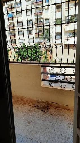 Location Appartement F3 Djasr Kasentina