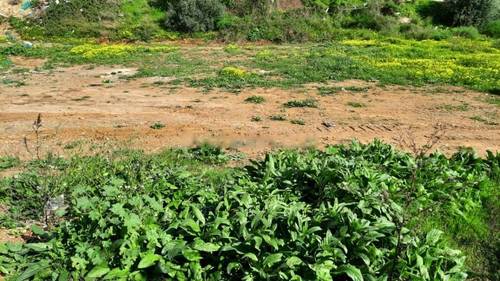 Vente Terrain Birkhadem